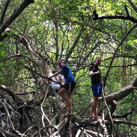 Chill Nasa Hostel Bentota Ngoại thất bức ảnh